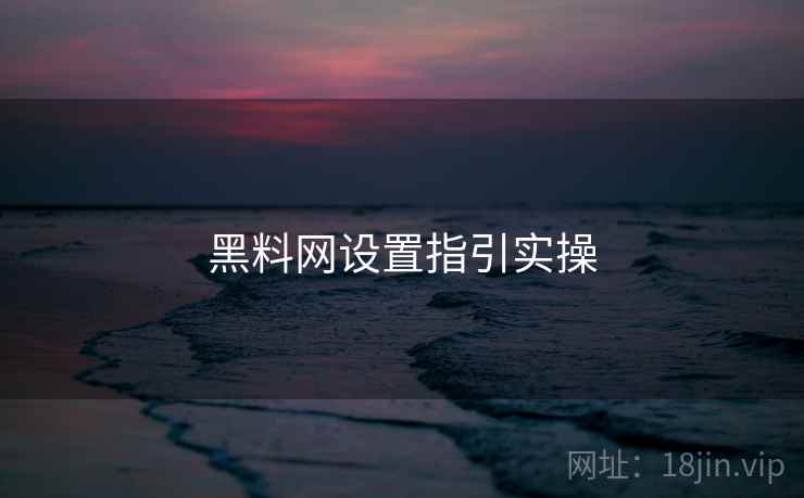 黑料网设置指引实操