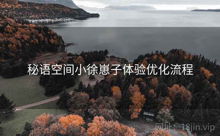 秘语空间小徐崽子体验优化流程