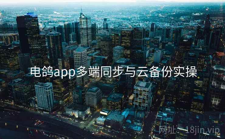 电鸽app多端同步与云备份实操 电鸽app多端同步与云备份实操