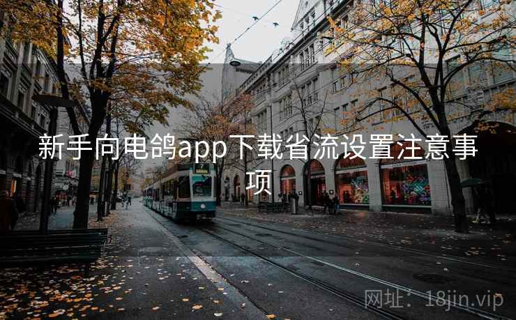 新手向电鸽app下载省流设置注意事项