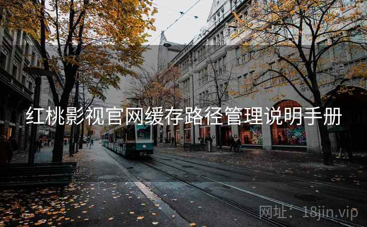 红桃影视官网缓存路径管理说明手册