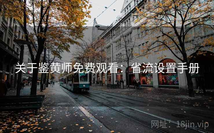 关于鉴黄师免费观看:省流设置手册 关于鉴黄师免费观看:省流设置手册