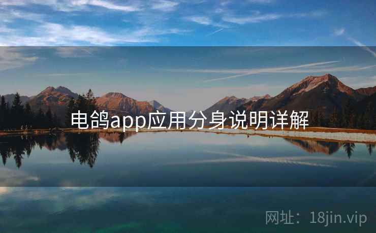 电鸽app应用分身说明详解 电鸽app应用分身说明详解